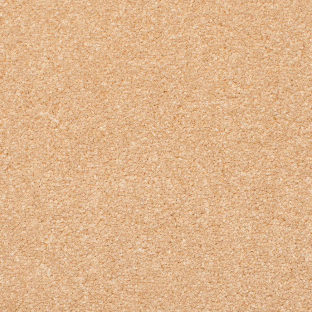 Honey 50 Revolution Carpet