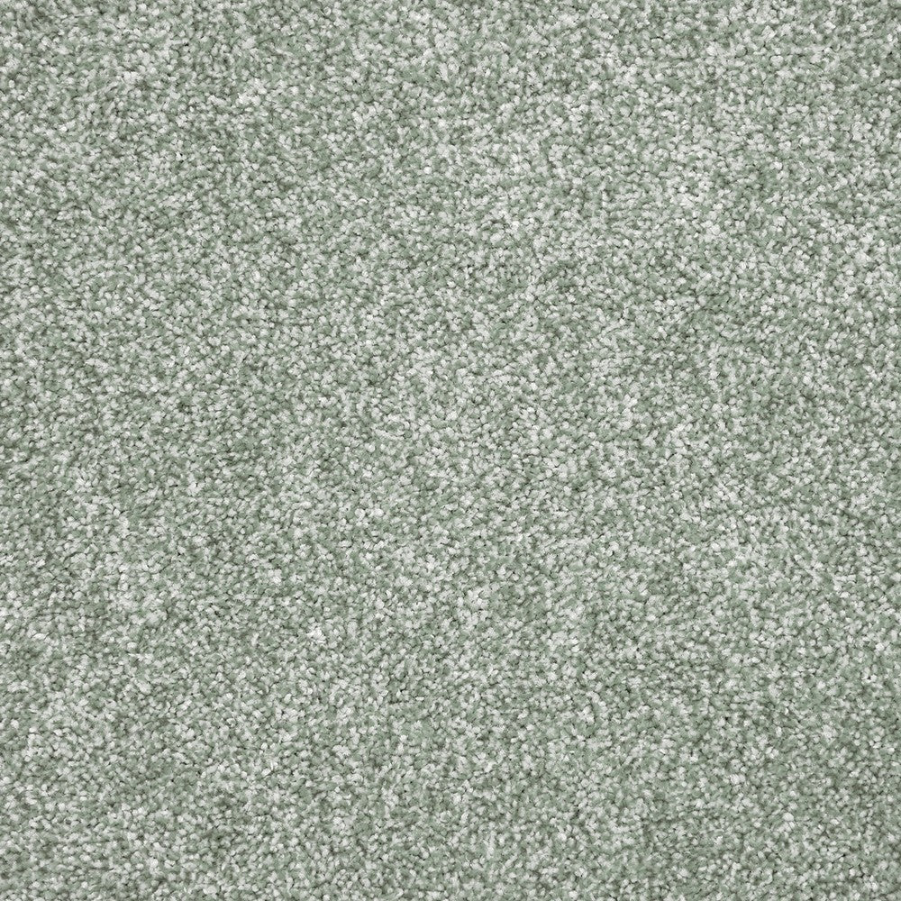 Ignis Carpet Clearance - Image 2