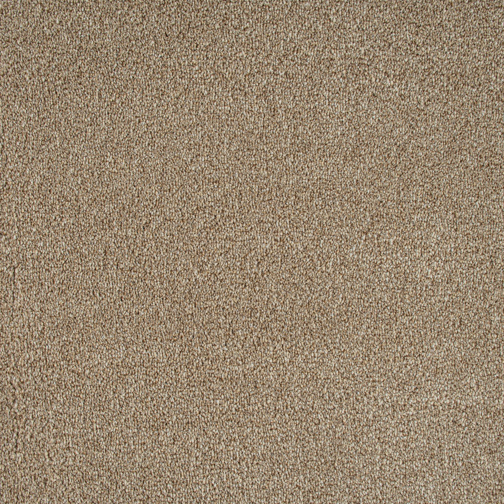 Indiana Saxony Carpet - Image 3