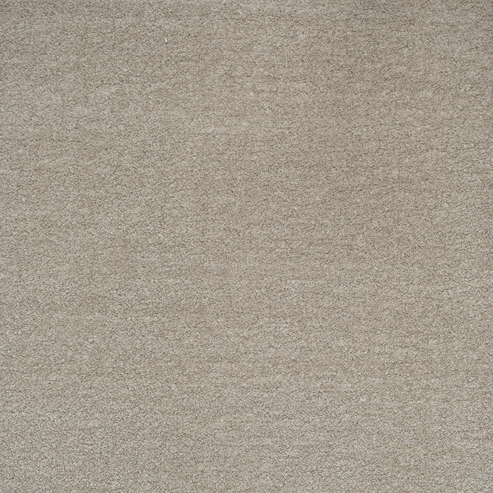 iSense Obsession Carpet - Image 14