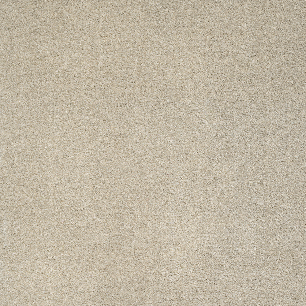 iSense Obsession Carpet - Image 4