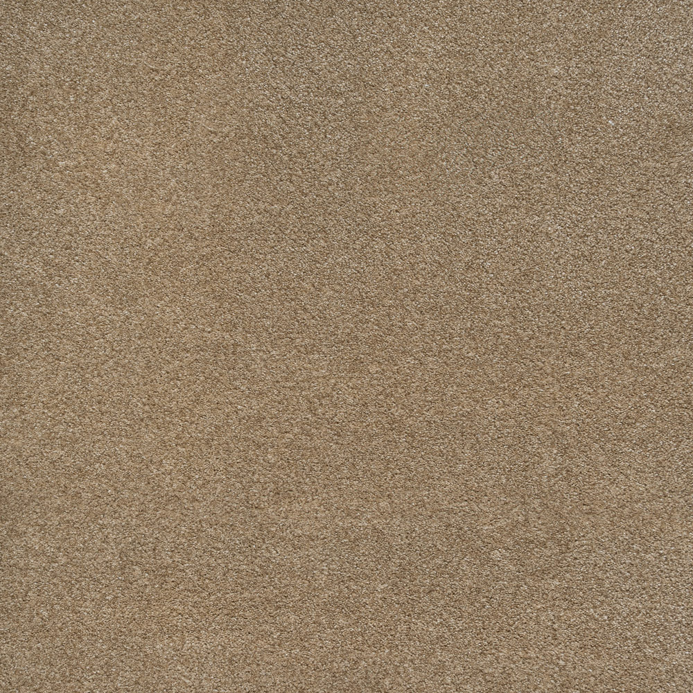 iSense Obsession Carpet - Image 5