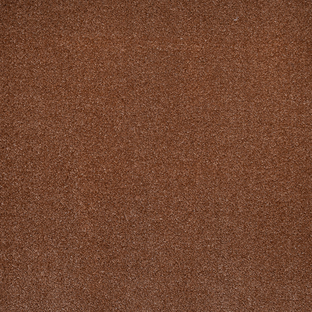iSense Obsession Carpet - Image 9