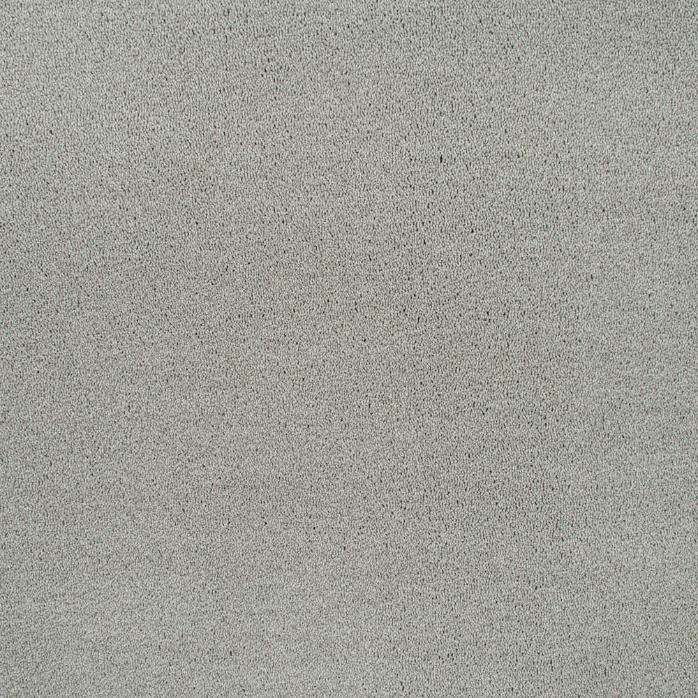 Ivory Grey 73 Emotion Elite Intenza Carpet