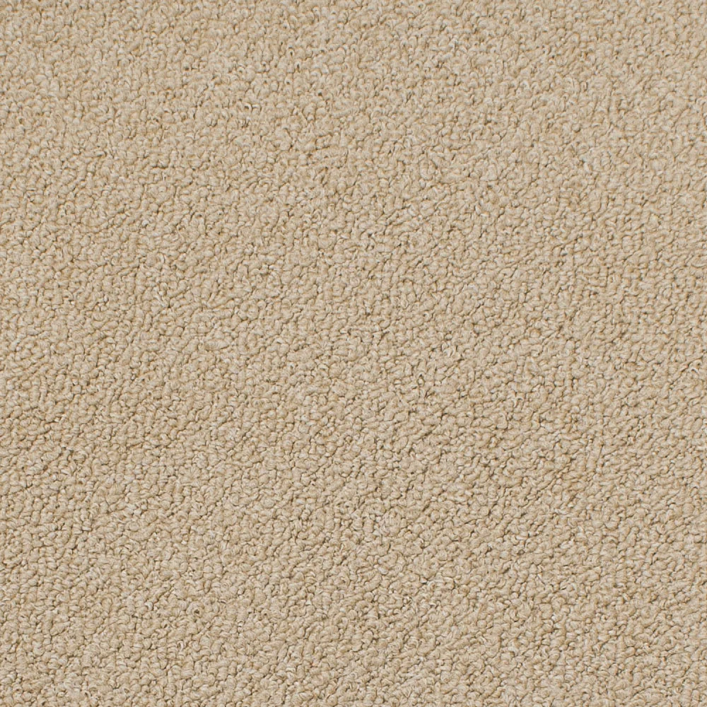 Ivory Luxury Saxony Carpet - Image 2