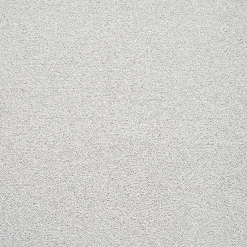 Regal Saxony Carpet - Image 7