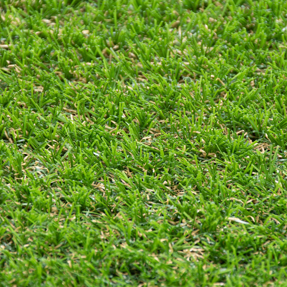 Kexby 32mm Artificial Grass - Image 3