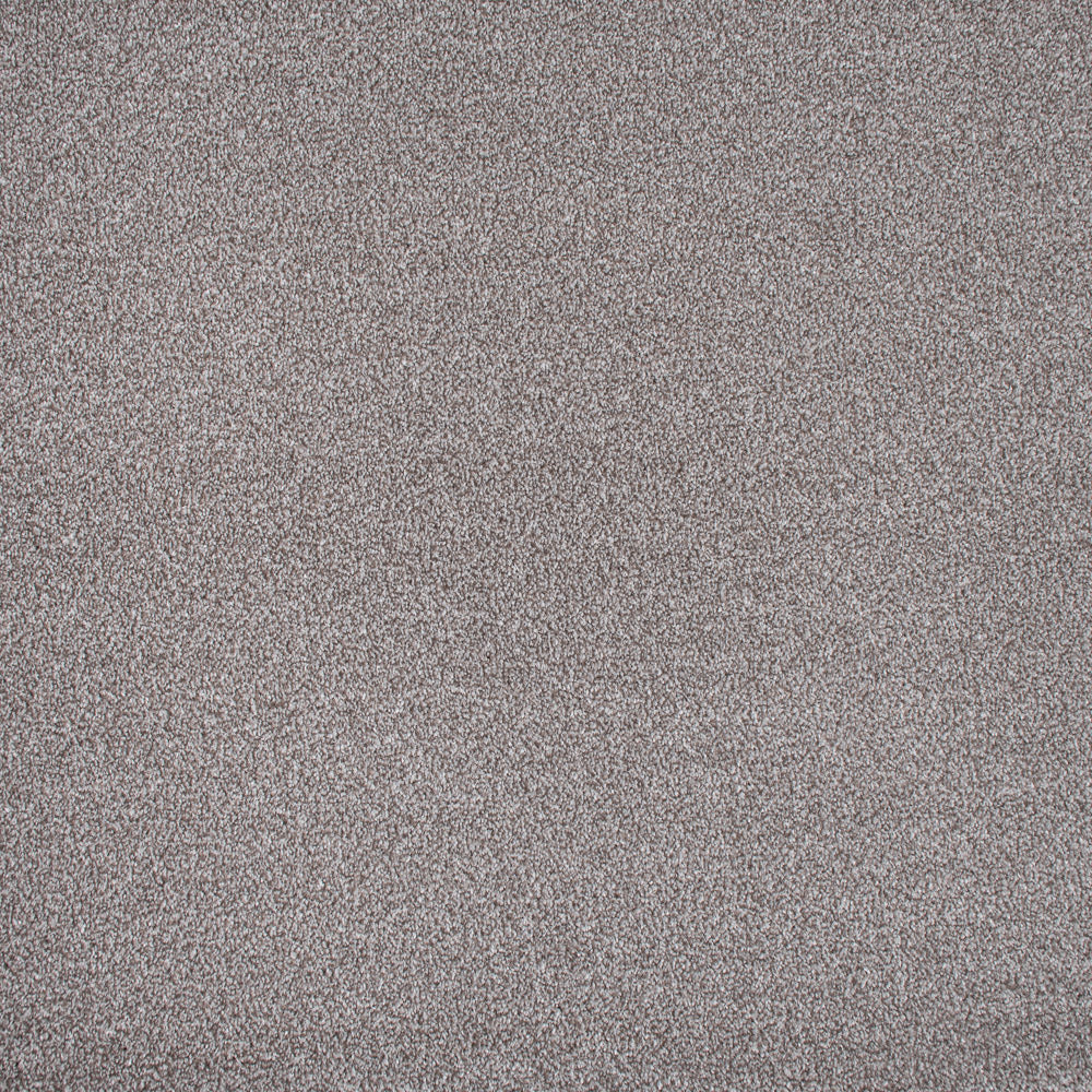 Koala Mist Soft Noble Saxony Carpet Clearance - Image 5