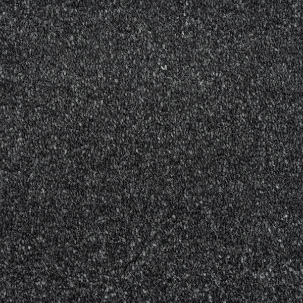 Lamp Black 99 Promenade FusionBac Carpet - Image 3