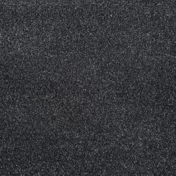 Lamp Black 99 Sophistication Supreme FusionBac Carpet - Image 5