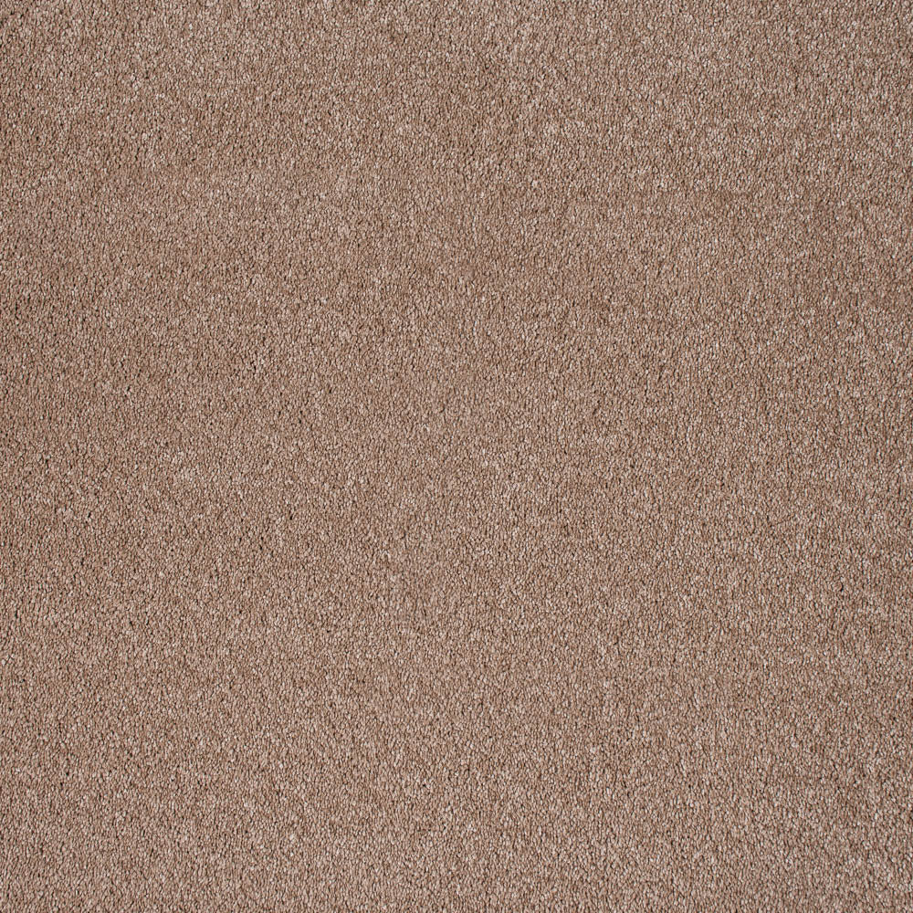 Latte 40 Magnificus Invictus Supreme Carpet - Image 2