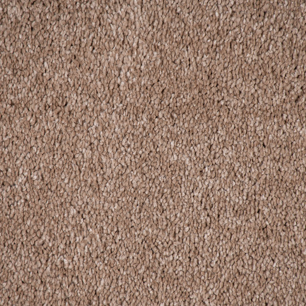Latte 40 Magnificus Invictus Supreme Carpet - Image 3