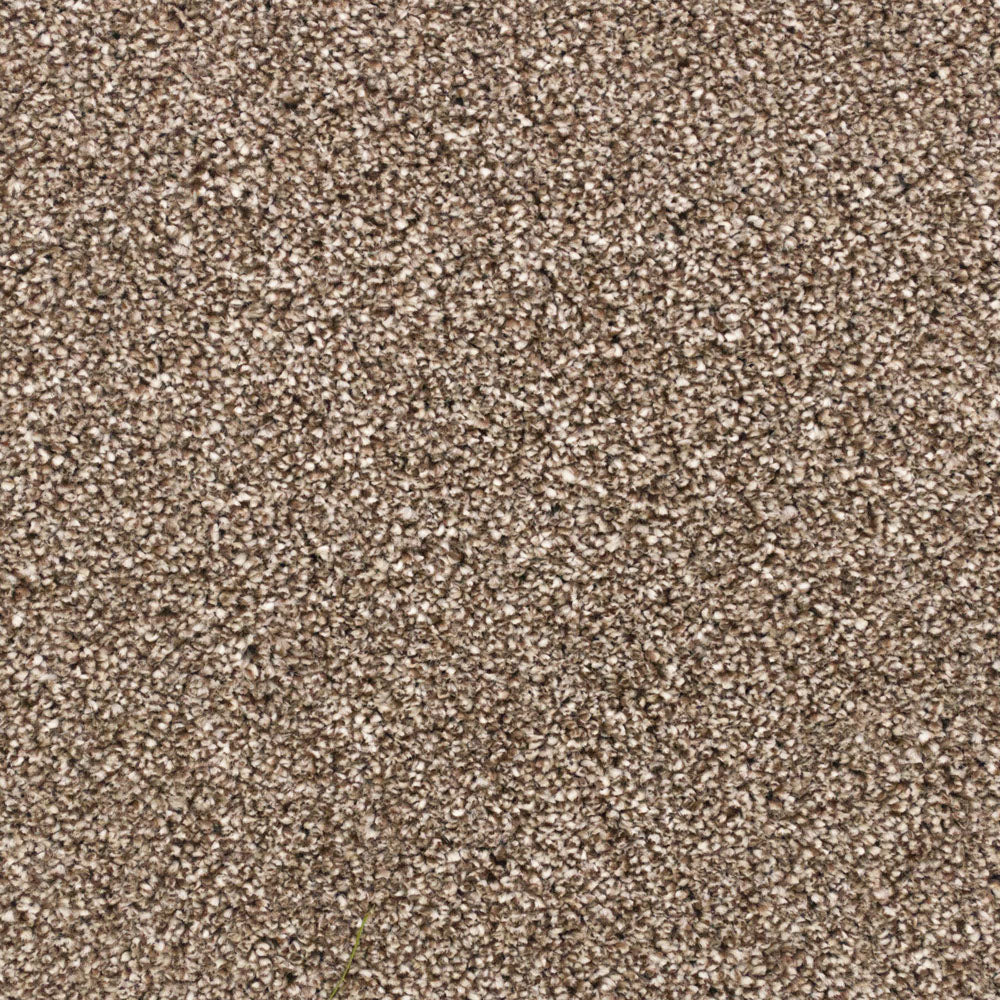 Latte 90 Premium Carpet - Image 3