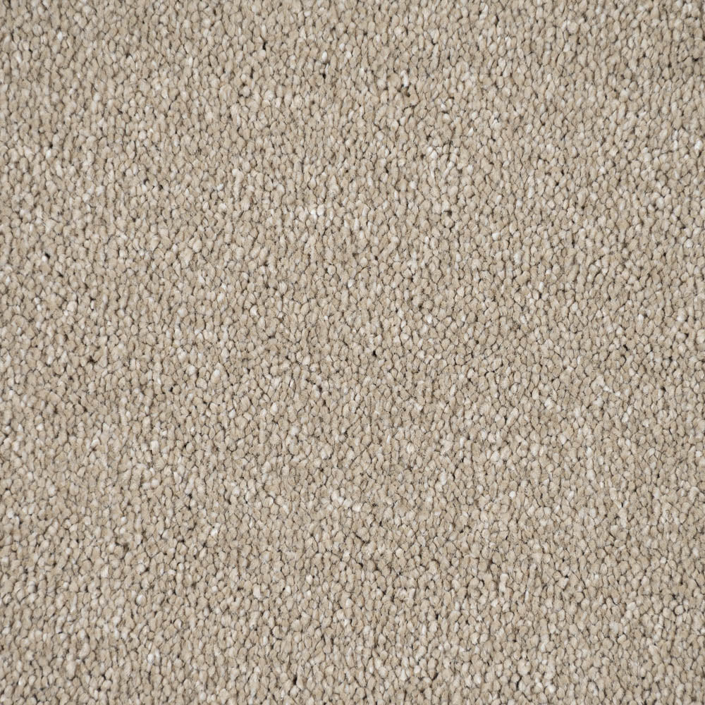 Latte Stainfree Caress Carpet by Abingdon - Image 3