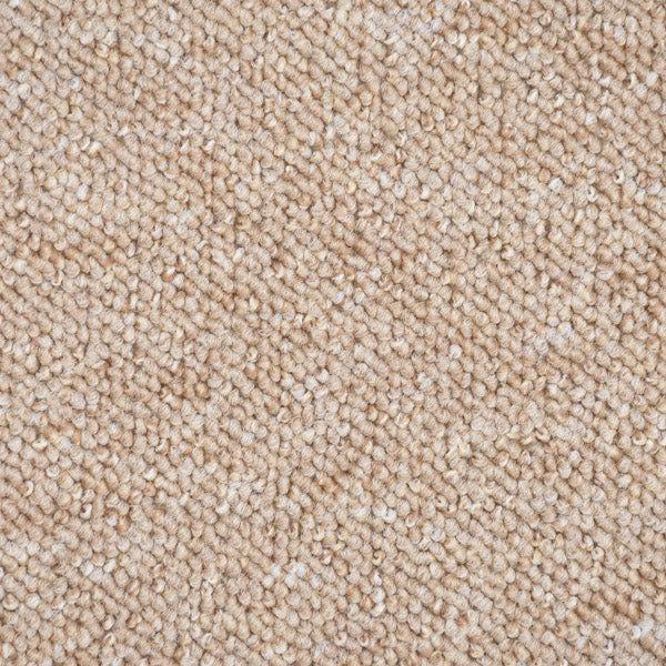 Light Beige Utah Loop Feltback Carpet - Image 3