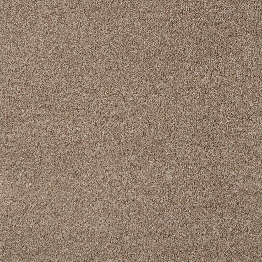 Light Brown 194 Revolution Carpet