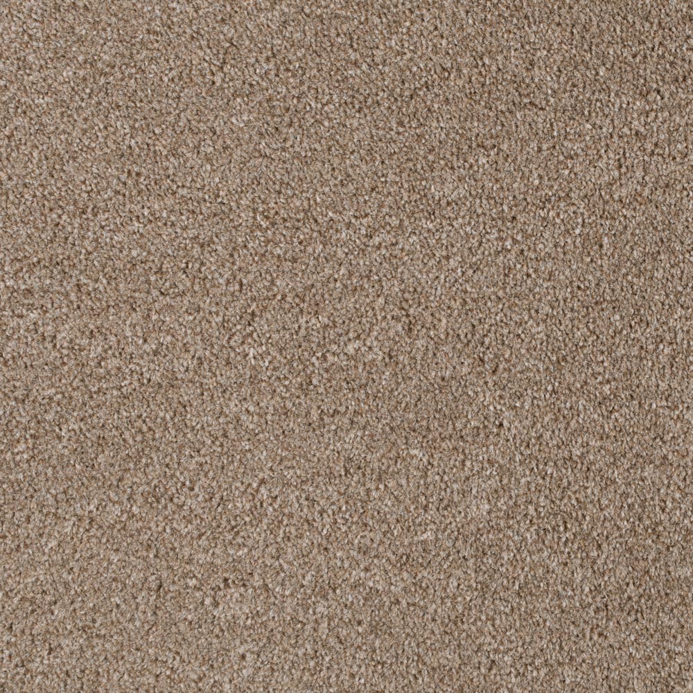 Light Brown 194 Revolution Carpet - Image 2