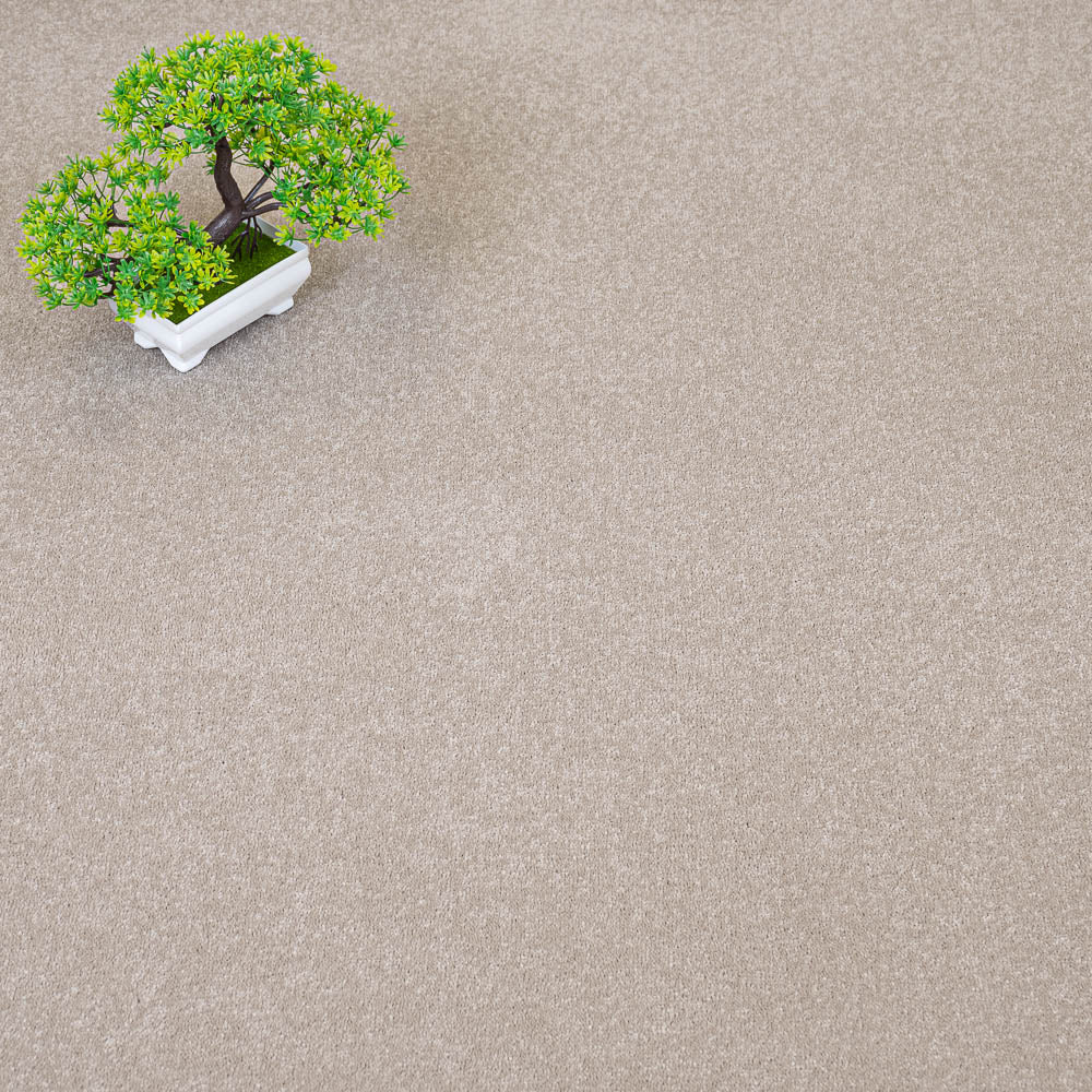 Linen Beige 72 Bellevue Saxony Carpet