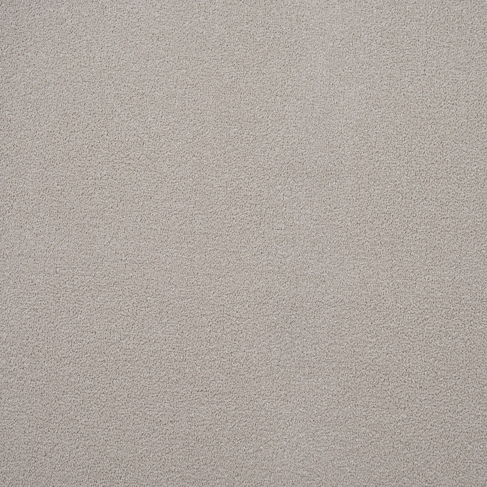 Regal Saxony Carpet - Image 8