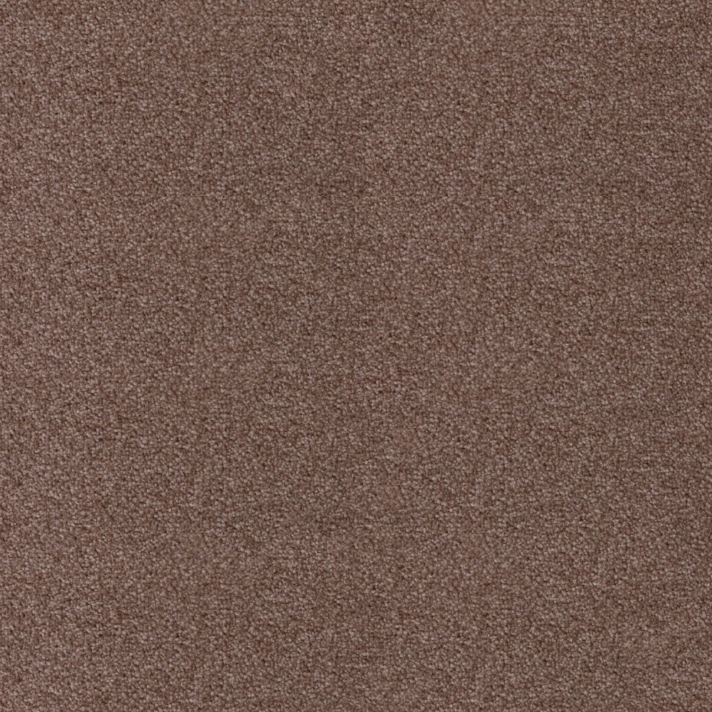 Noble Saxony Carpet - Image 11