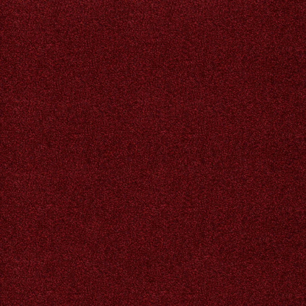 Noble Saxony Carpet - Image 2