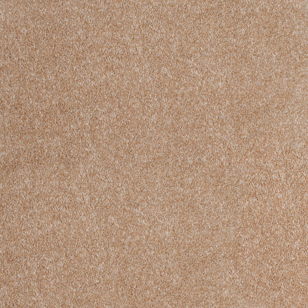 Noble Saxony Carpet - Image 4