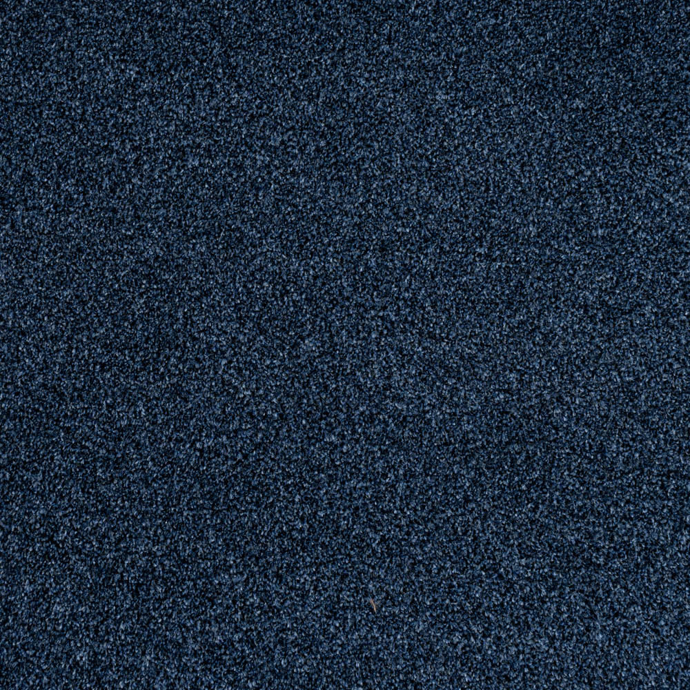Louisiana Saxony Carpet - Image 12