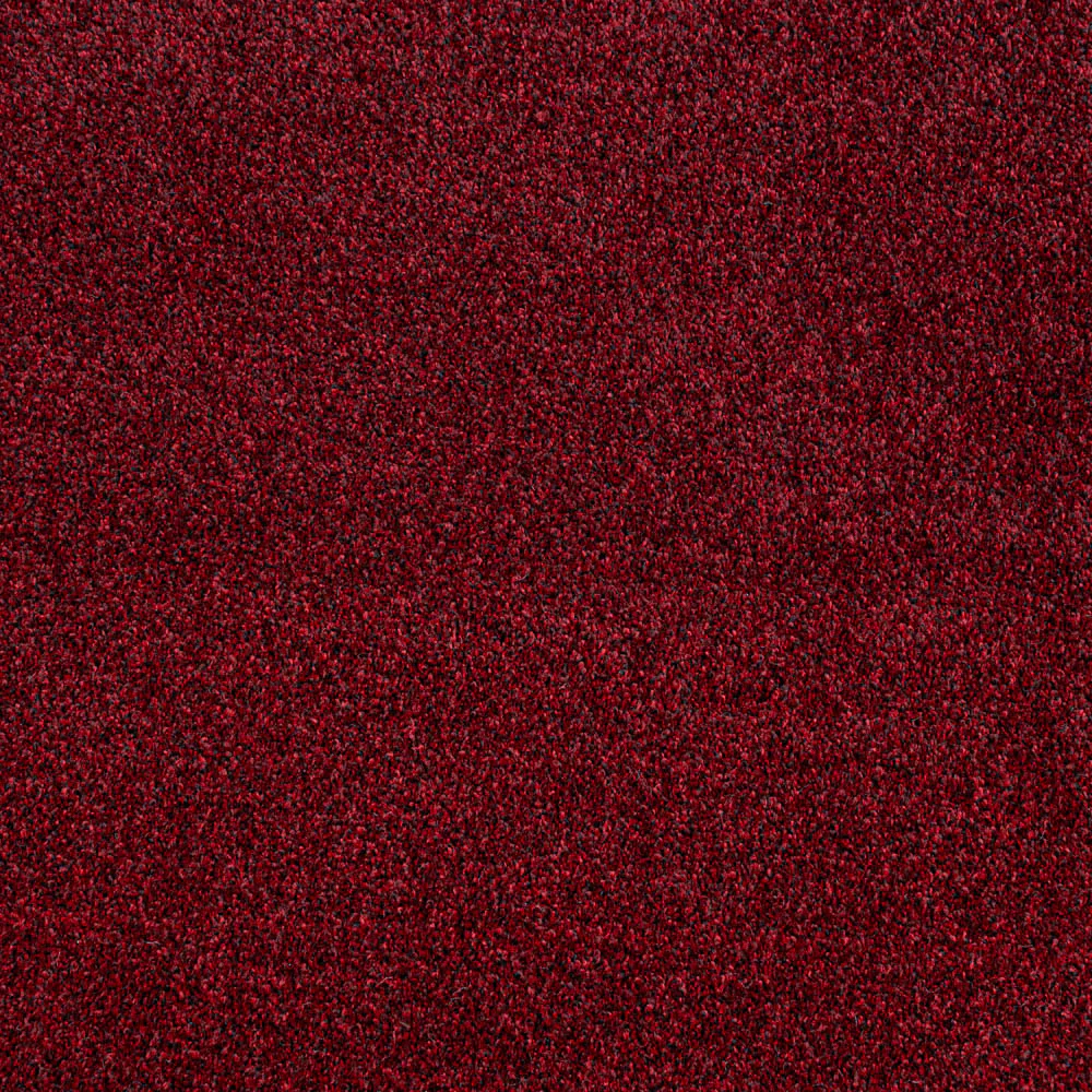 Louisiana Saxony Carpet - Image 2