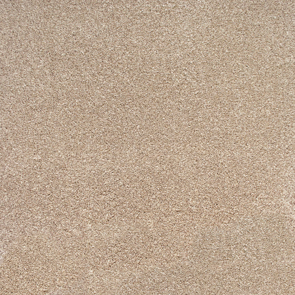 Luxury Saxony Carpet - Image 11