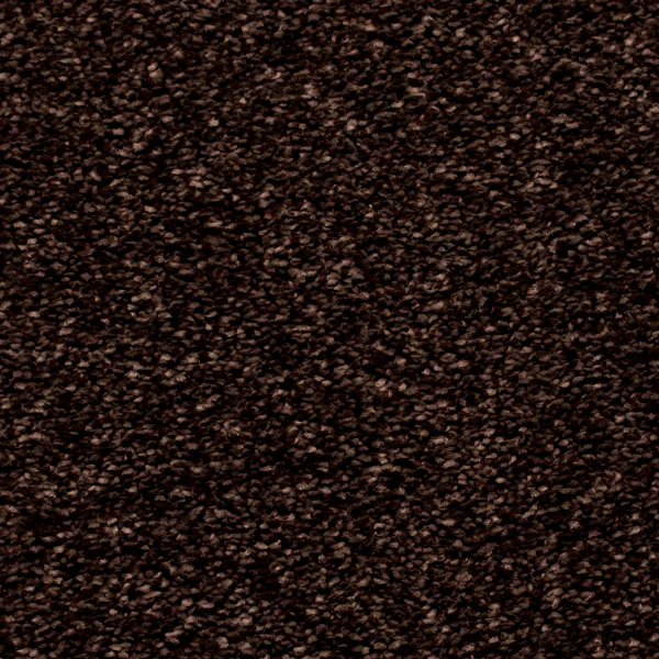 Luxury Saxony Carpet - Image 8
