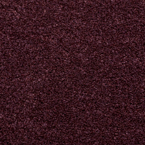 Luxury Saxony Carpet - Image 9