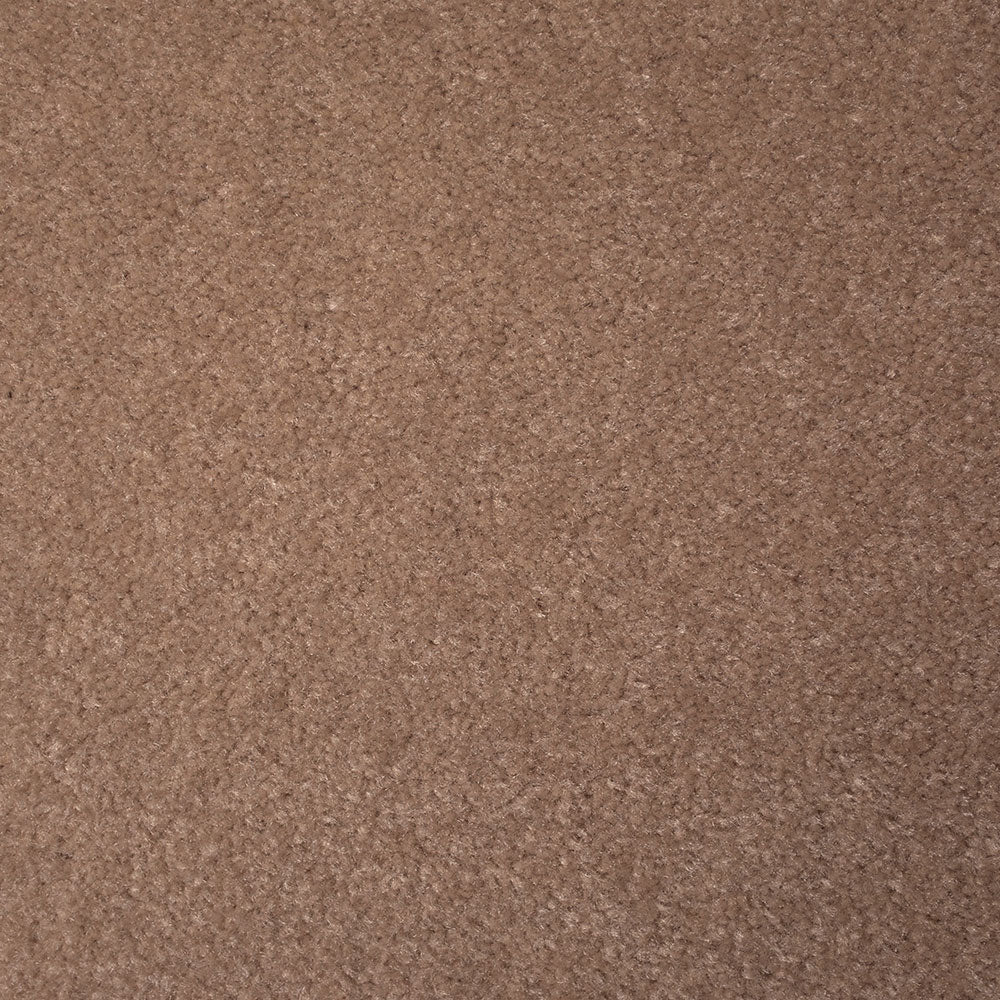 Luxury Touch Carpet - Image 3