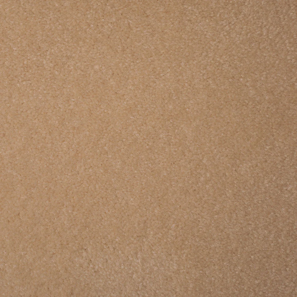 Luxury Touch Carpet - Image 6