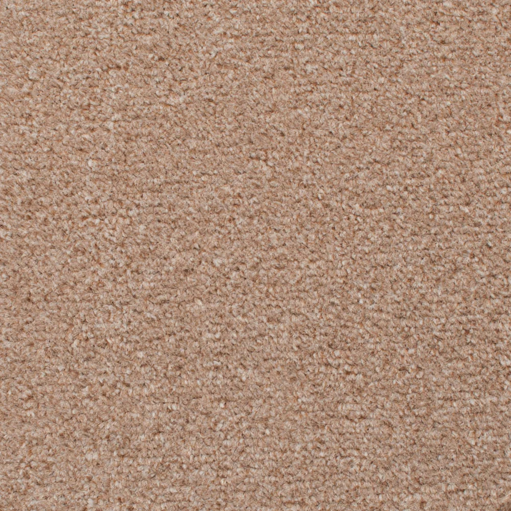 Madison Carpet - Image 2