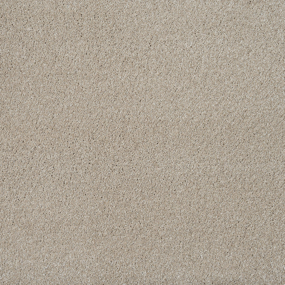 Magnificus Invictus Supreme Carpet - Image 12