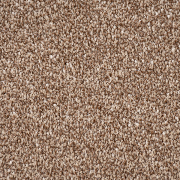 Mahogany Zephyr Saxony Carpet - Image 3