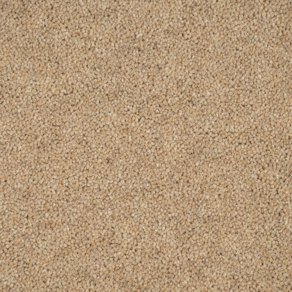 Maize Hampstead Deluxe 50oz Carpet by Cormar - Image 3