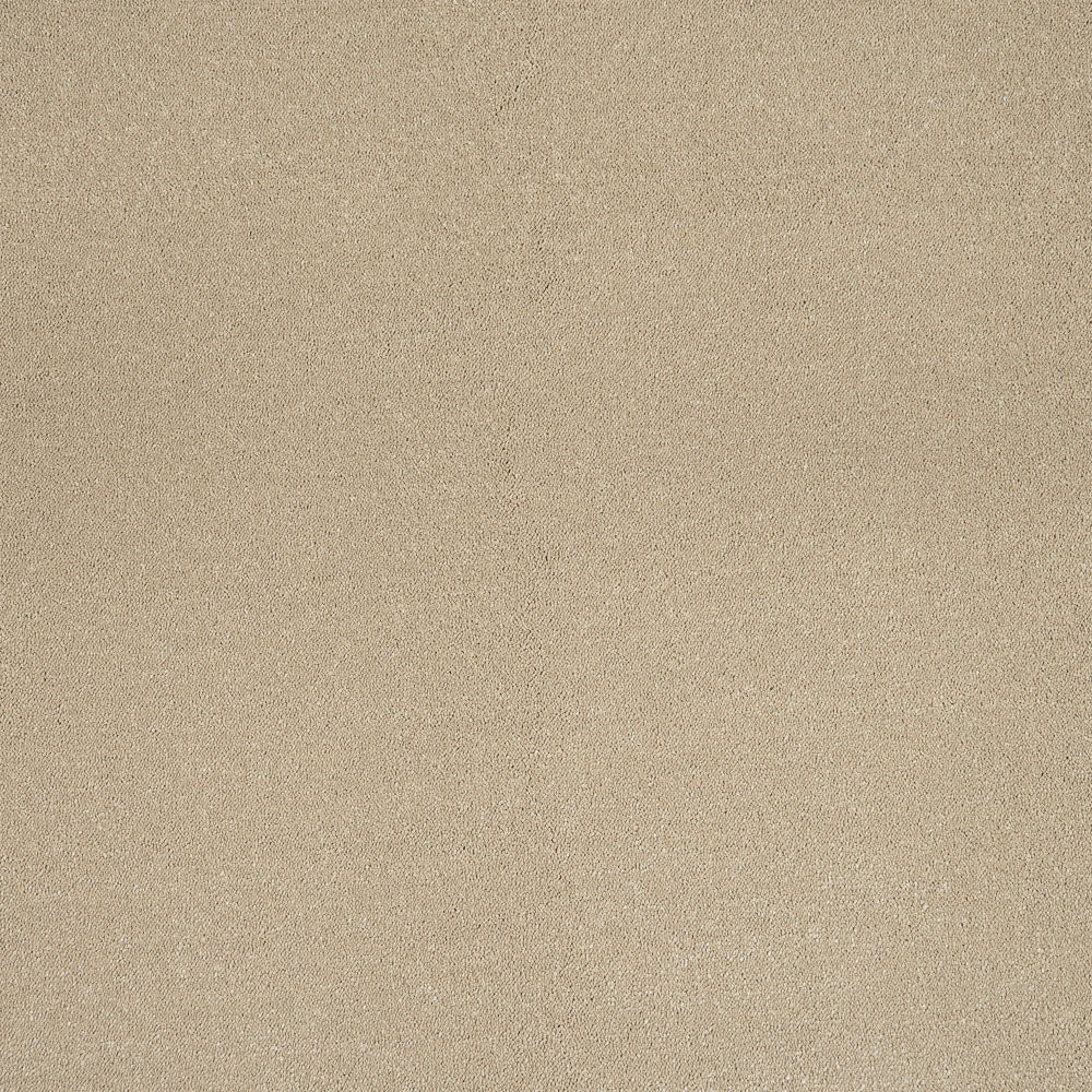 Malt Silken Serenity Carpet by Cormar - Image 5