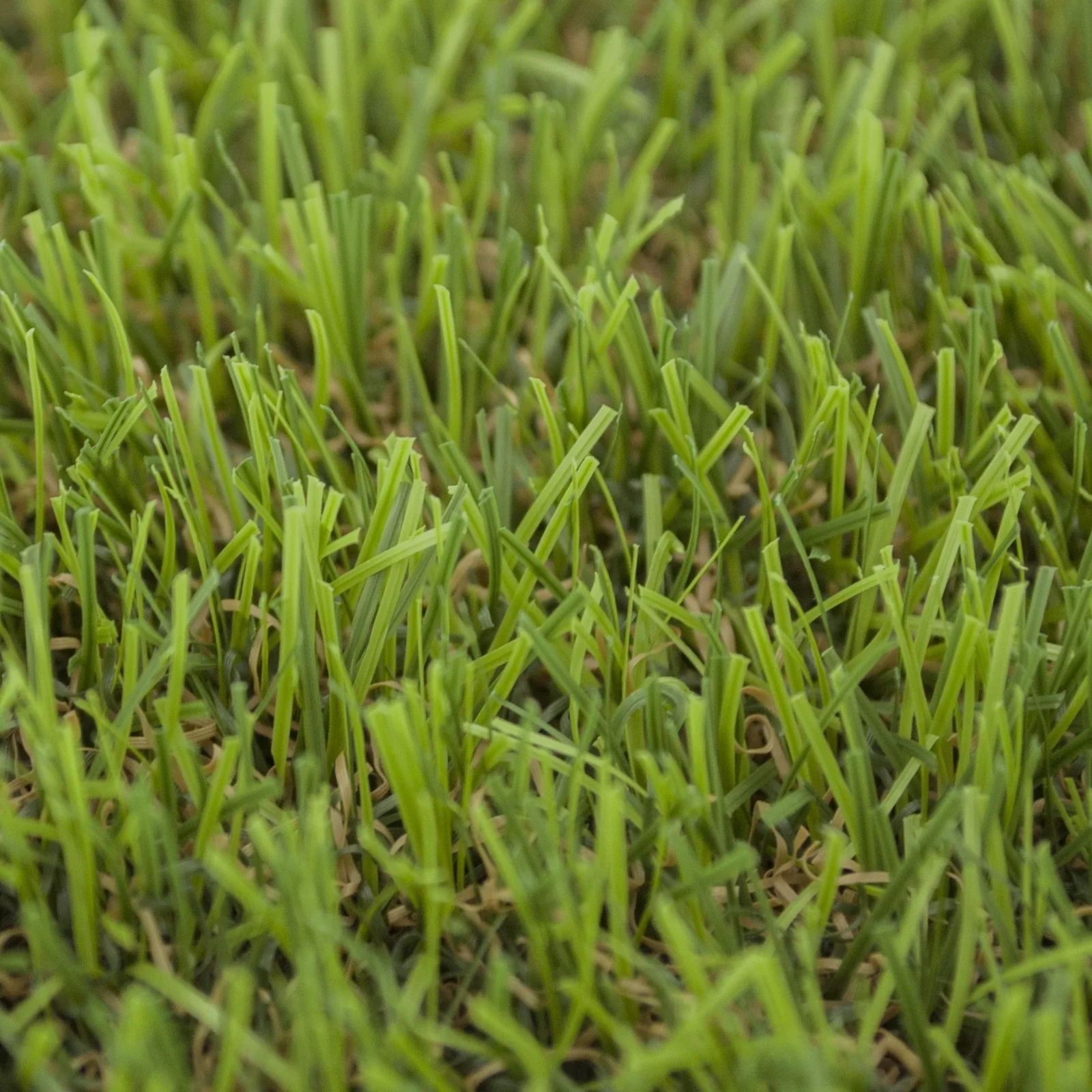 Marino 30mm Artificial Grass - Image 4