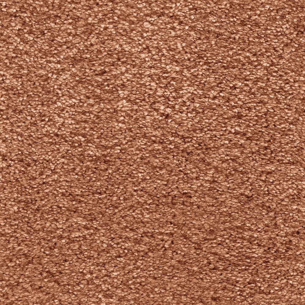 Marrakesh 84 Spiritus Carpet Clearance - Image 2