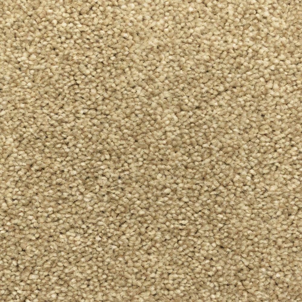 Marzipan 310 Monsoon Carpet - Image 3