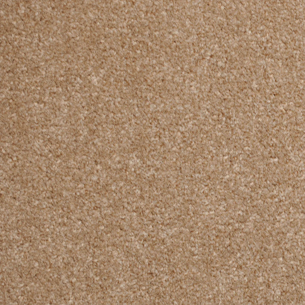 Mid Beige 73 Revolution Carpet - Image 2