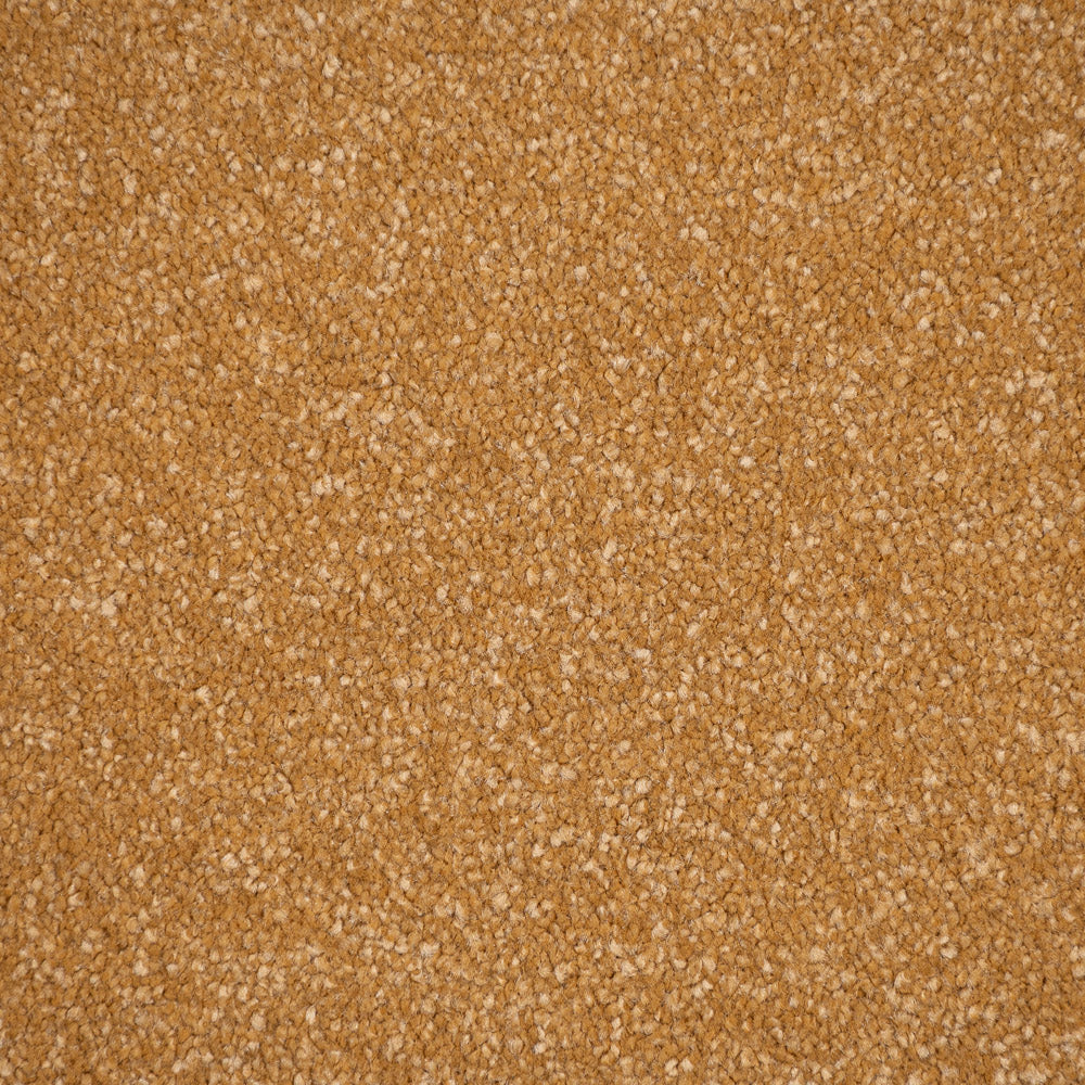 Midas Touch Linwood 40oz Twist Carpet by Cormar - Image 4