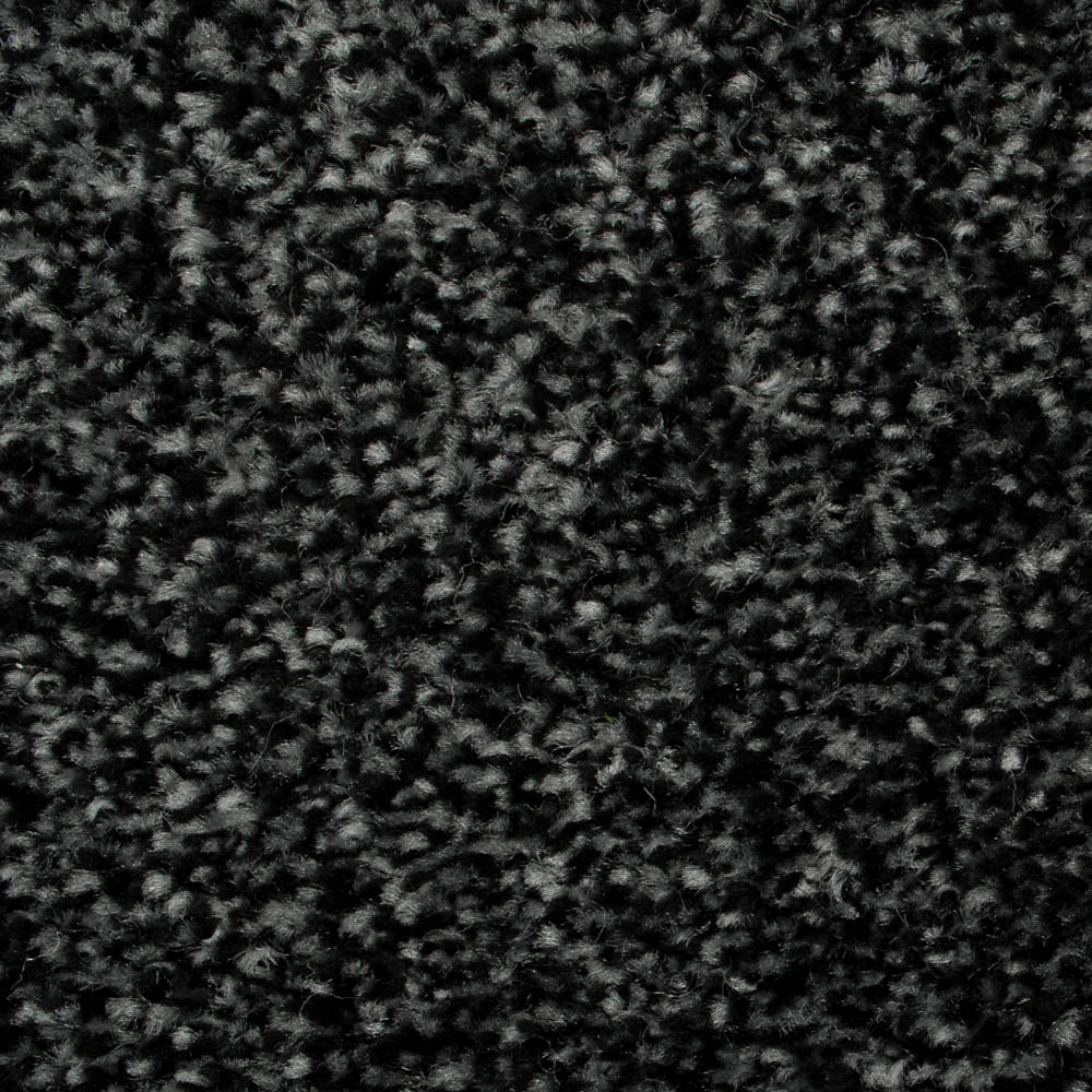 Midnight Oregon Saxony Carpet - Image 2