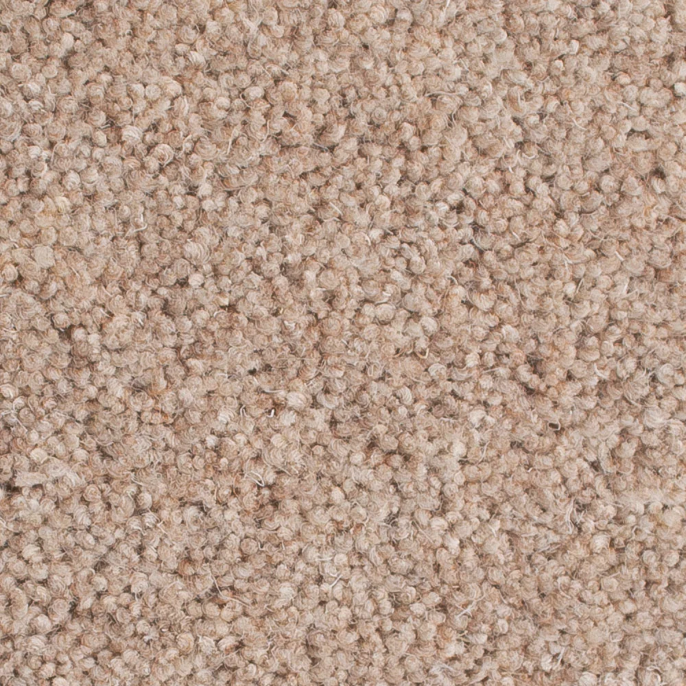 Millstone 50oz Home Counties Heathers Carpet by Cormar - Image 2