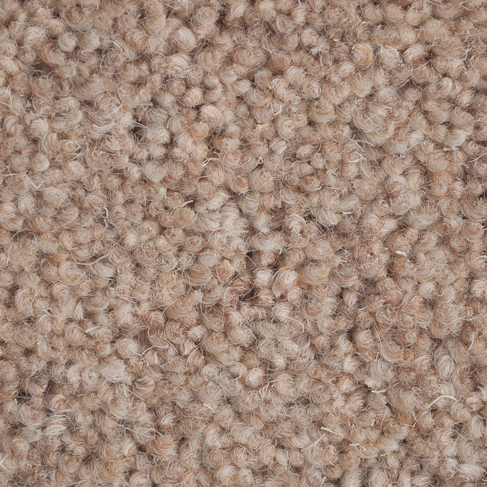 Millstone 50oz Home Counties Heathers Carpet by Cormar - Image 3