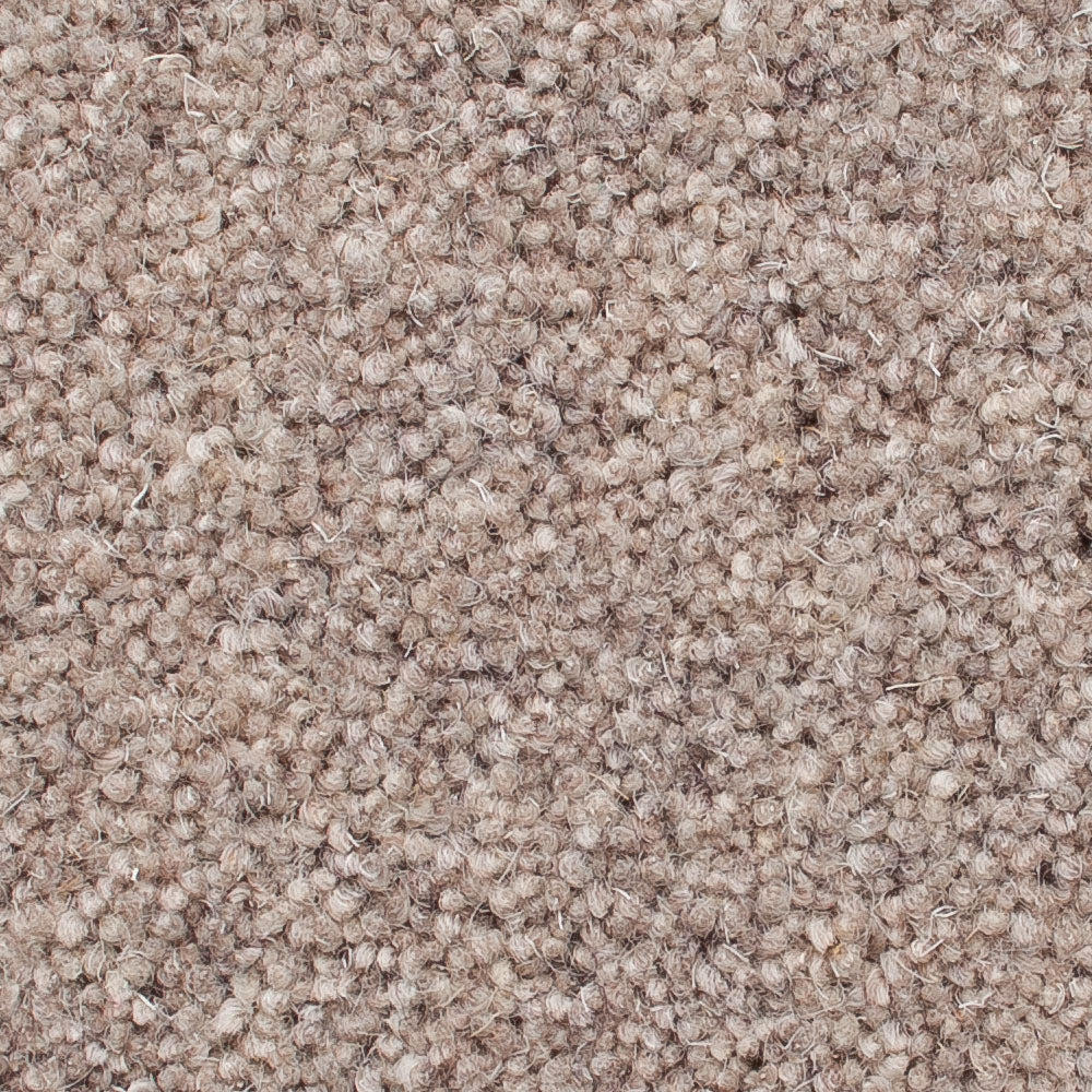 Milton Mist 50oz Home Counties Heathers Carpet by Cormar - Image 2