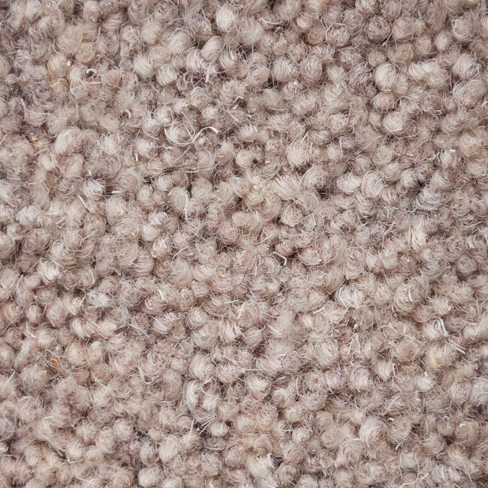 Milton Mist 50oz Home Counties Heathers Carpet by Cormar - Image 3