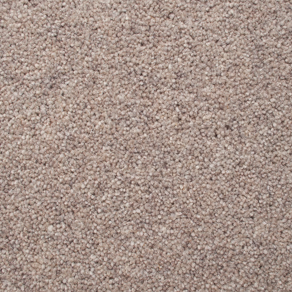 Milton Mist 50oz Home Counties Heathers Carpet by Cormar - Image 4
