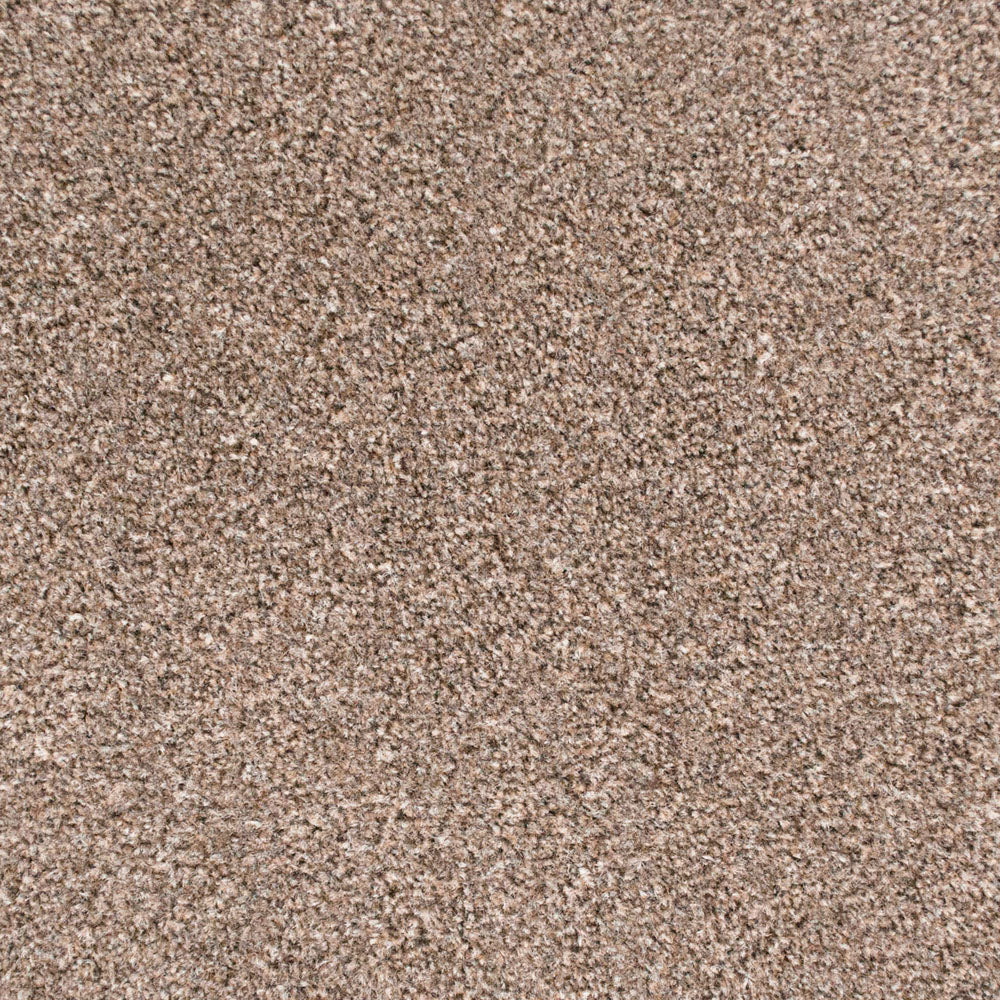 Mink 314 Easy Living Carpet - Image 2